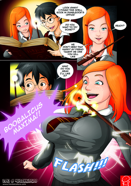 Witchking00 - Harry Potter and the Forbidden Spells